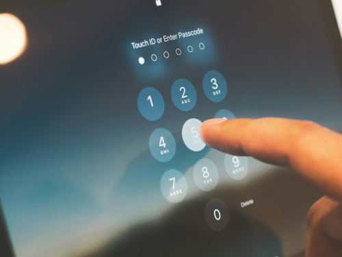 Robust Passwords: The Cornerstone of Online Security