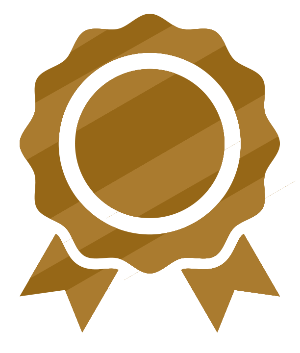 Bronze Icon